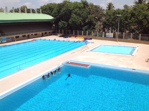 Absolute PADI Scuba Diving & Training Center Pune