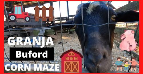 Farm «Buford Corn Maze.», reviews and photos, 4470 Bennett Rd, Buford, GA 30519, USA