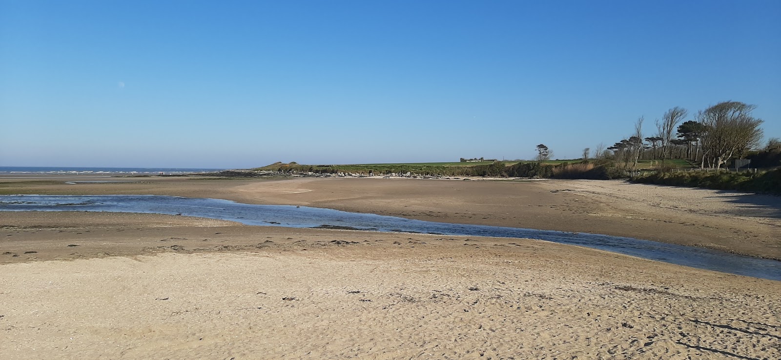 Photo de Gormanston Beach - bon endroit convivial pour les animaux de compagnie pour les vacances