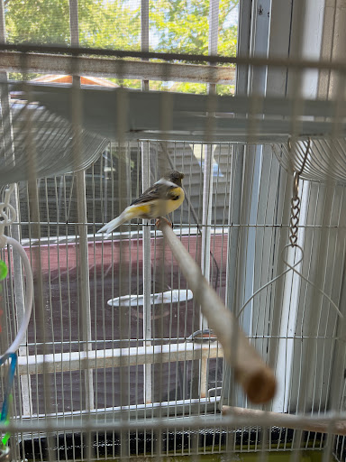 Pet Supply Store «Agway of Manchester», reviews and photos, 33 Adams St, Manchester, CT 06042, USA