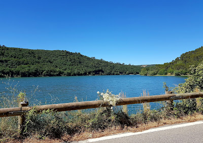 Le lac de Carcès à Carcès