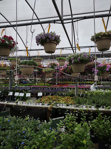 Plant Nursery «Blooming Acres», reviews and photos, 7561 State Rd, Wadsworth, OH 44281, USA