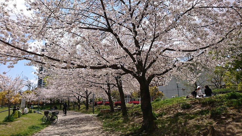 扇町公園 大阪府大阪市北区扇町 市立公園 公園 グルコミ