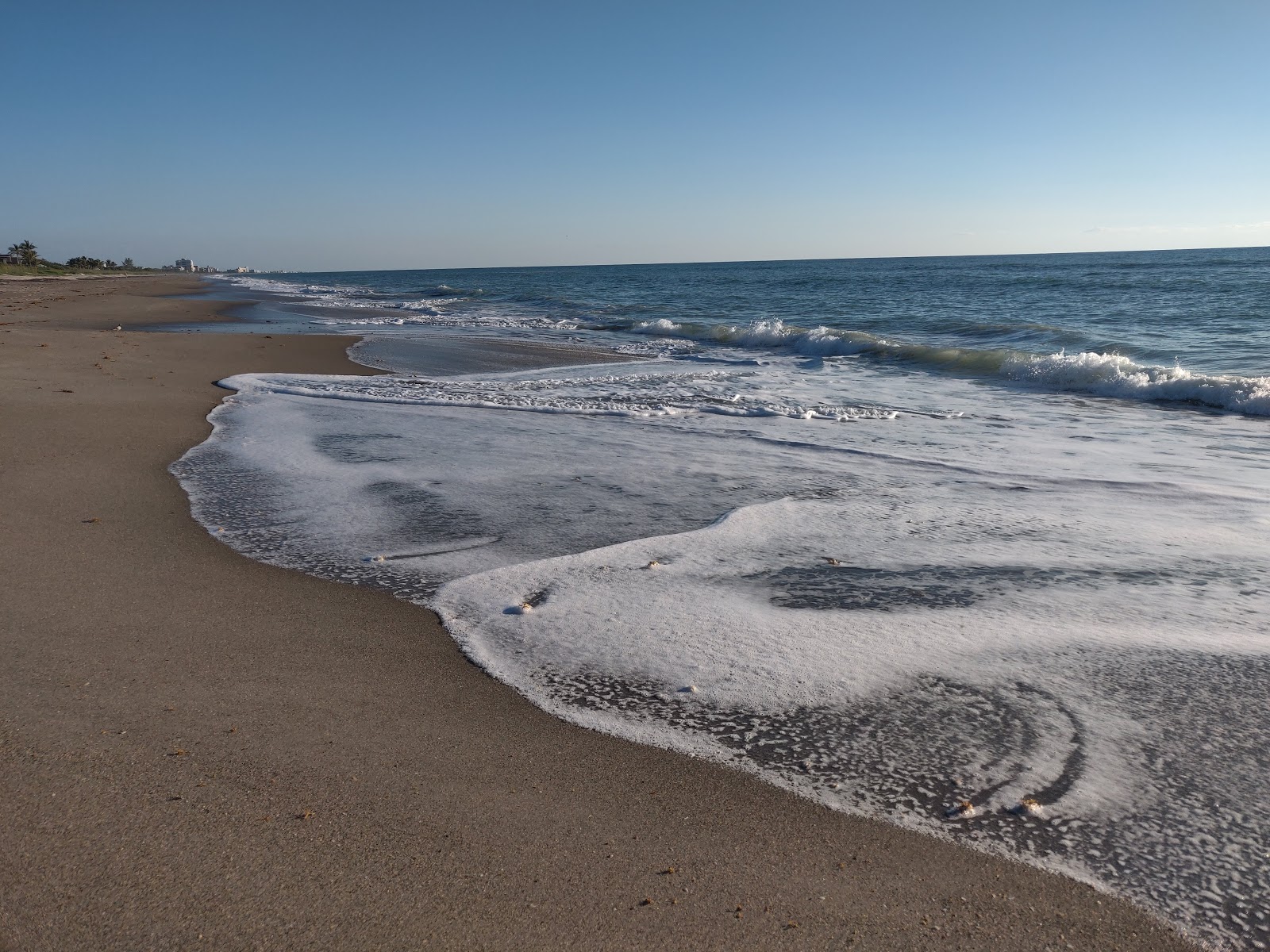 Ocean Ave beach'in fotoğrafı - rahatlamayı sevenler arasında popüler bir yer