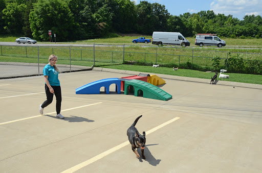 Pet Boarding Service «Pet Palace», reviews and photos, 2803 Trough Springs Rd, Clarksville, TN 37043, USA