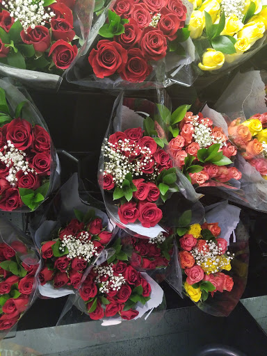 Supermarket «Publix Super Market at Dacula Village», reviews and photos, 720 Dacula Rd, Dacula, GA 30019, USA