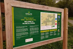 Glenstal Woods image