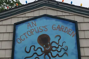 An Octopus' Garden image