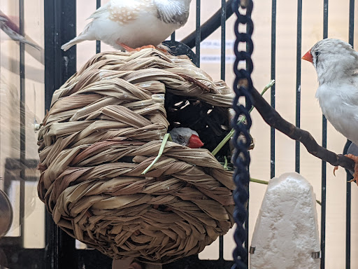 Pet Supply Store «PetSmart», reviews and photos, 208 Mariner Way, Biddeford, ME 04005, USA