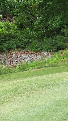 Golf Course «Swan Lake Golf Course», reviews and photos, 581 Dunbar Cave Rd, Clarksville, TN 37043, USA