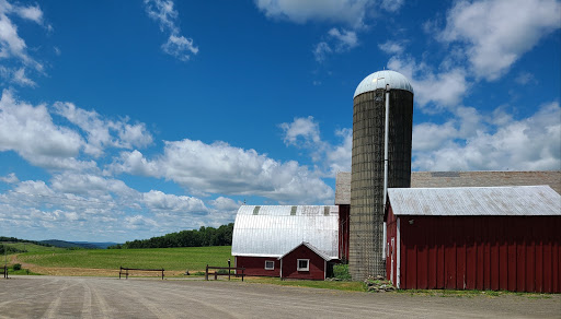 Winery «Rustic Ridge Winery», reviews and photos, 2805 St Hwy 80, Burlington Flats, NY 13315, USA