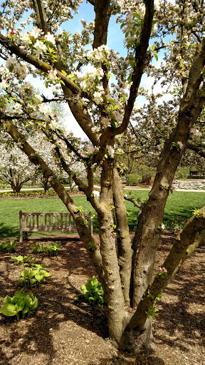 Park «Lilacia Park», reviews and photos, 150 S Park Ave, Lombard, IL 60148, USA