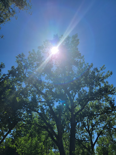 Park «Bear Creek Park», reviews and photos, 3550 S Raleigh St, Denver, CO 80236, USA