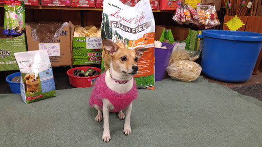 Pet Supply Store «Higbie Farm Supplies Inc», reviews and photos, 3440 Union St, North Chili, NY 14514, USA