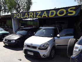 Polarizados Leito