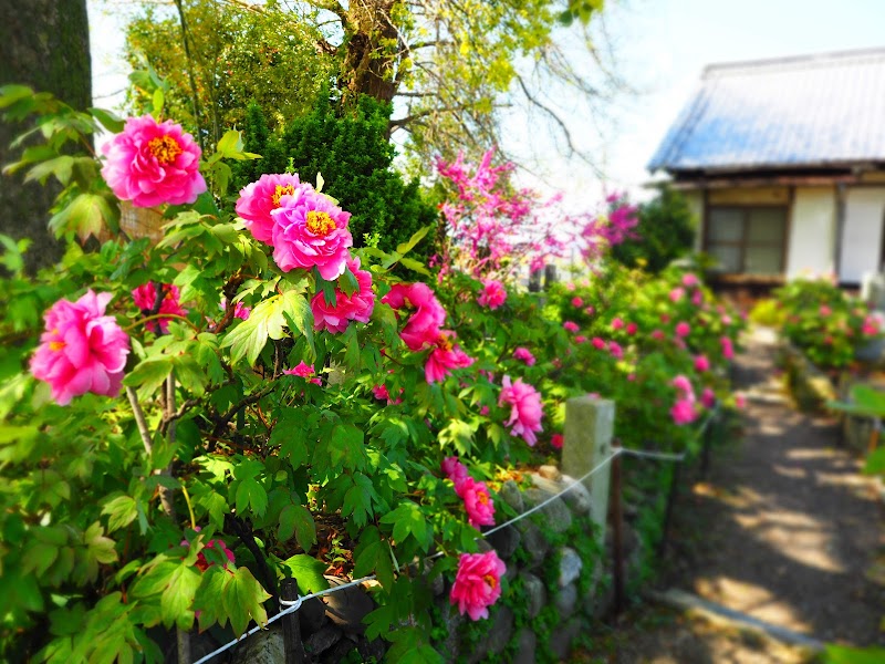 法安寺