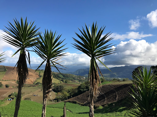 Department Store «JCPenney», reviews and photos, 2000 NJ-38 #1000, Cherry Hill, NJ 08002, USA