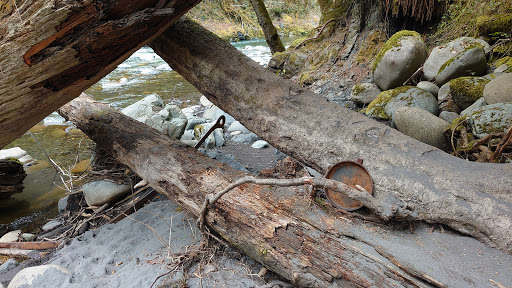 Tourist Attraction «Melmont ghost town», reviews and photos, Carbon River Rd, Carbonado, WA 98323, USA