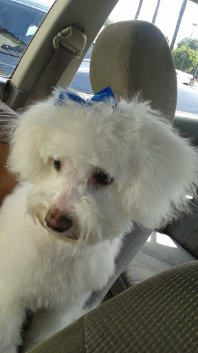 Pet Store «Katie’s PET DEPOT®», reviews and photos, 1941 Foothill Blvd, La Verne, CA 91750, USA