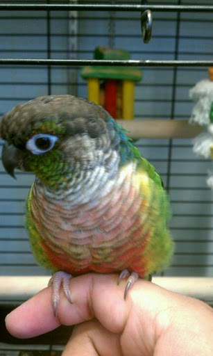 25915 Union Tpke, Glen Oaks, NY 11004, USA