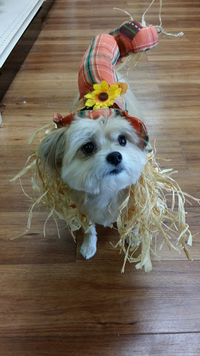 Pet Supply Store «Pet Supermarket», reviews and photos, 2924 13th St, St Cloud, FL 34769, USA