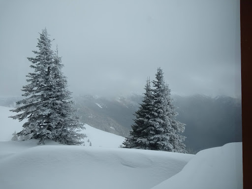 National Park «Olympic National Park», reviews and photos