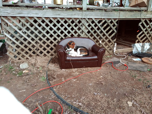 Pet Supply Store «Pet Supplies Plus», reviews and photos, 2410 Augusta Rd, West Columbia, SC 29169, USA