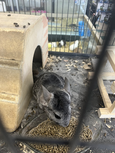 Pet Store «Sierra Fish and Pets», reviews and photos, 601 S Grady Way Suite M, Renton, WA 98057, USA