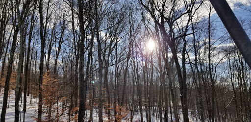 Ski Resort «Shawnee Mountain Ski Area», reviews and photos, 401 Hollow Rd, East Stroudsburg, PA 18301, USA