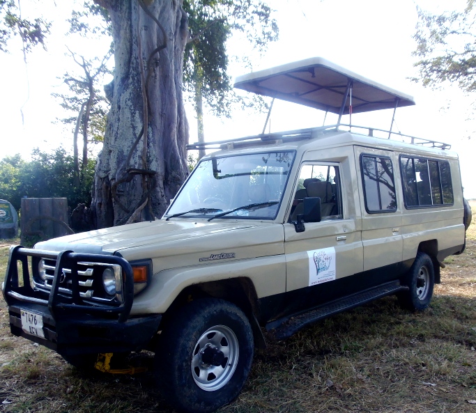 Watu Safaris (T) Ltd