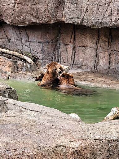 Zoo «Indianapolis Zoo», reviews and photos, 1200 W Washington St, Indianapolis, IN 46222, USA