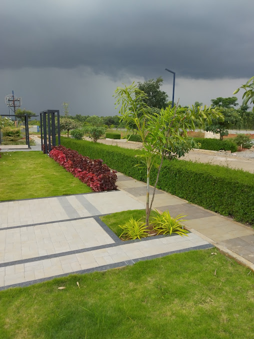 Google Maps image 19