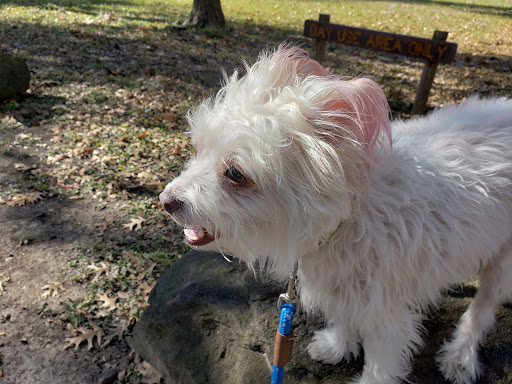 Pet Supply Store «Pet Supplies Plus», reviews and photos, 7041 Barker Cypress Rd, Cypress, TX 77433, USA