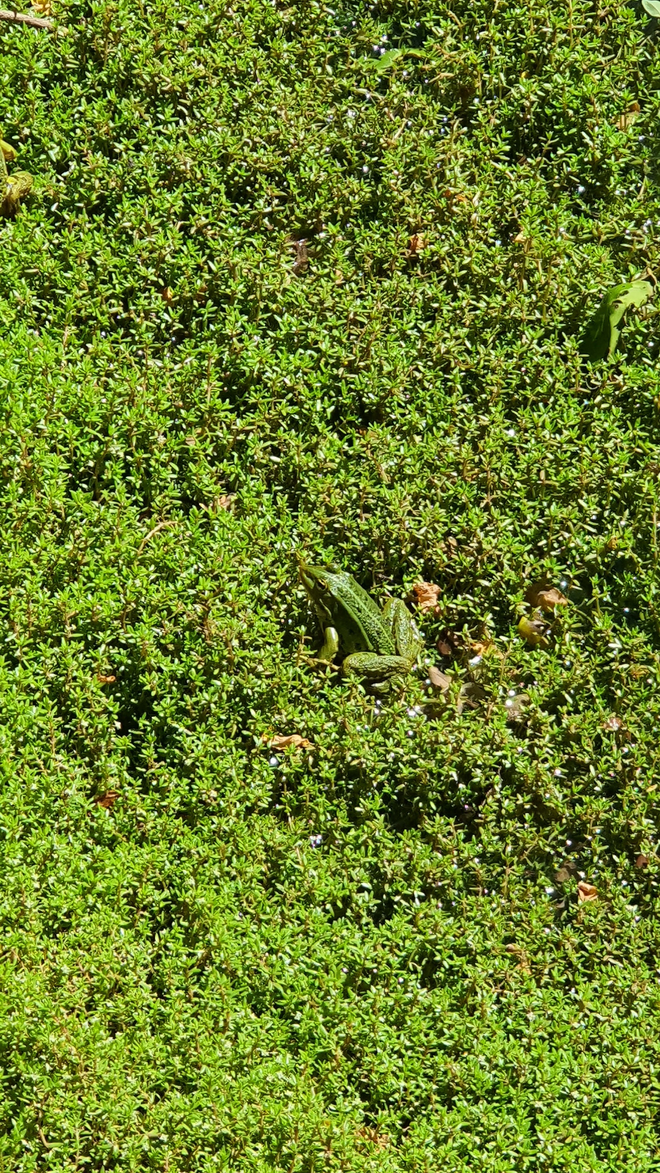 Photo n° 33 de l'avis de jean.u fait le 07/08/2022 à 13:53
