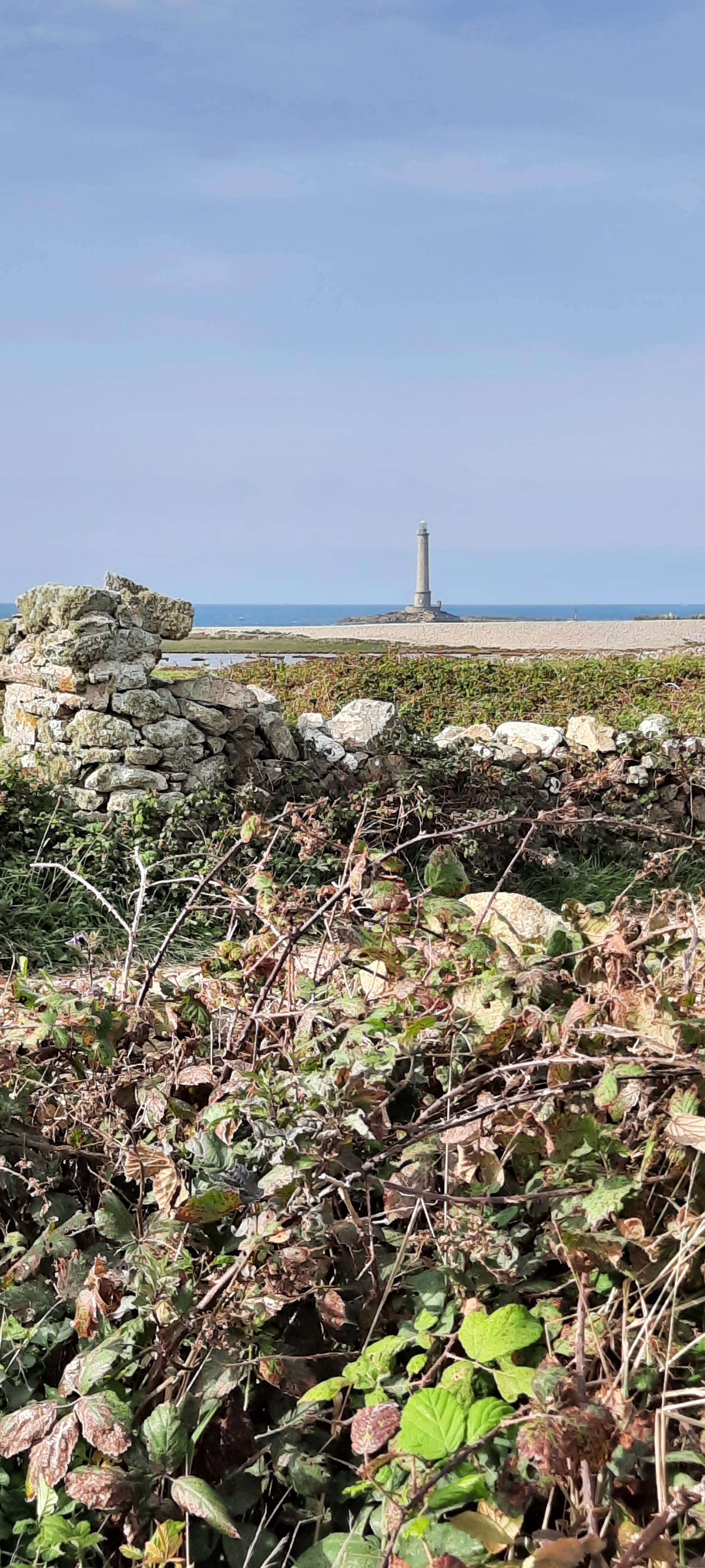 Photo n° 1 de l'avis de Thierry.a fait le 11/10/2023 à 16:07