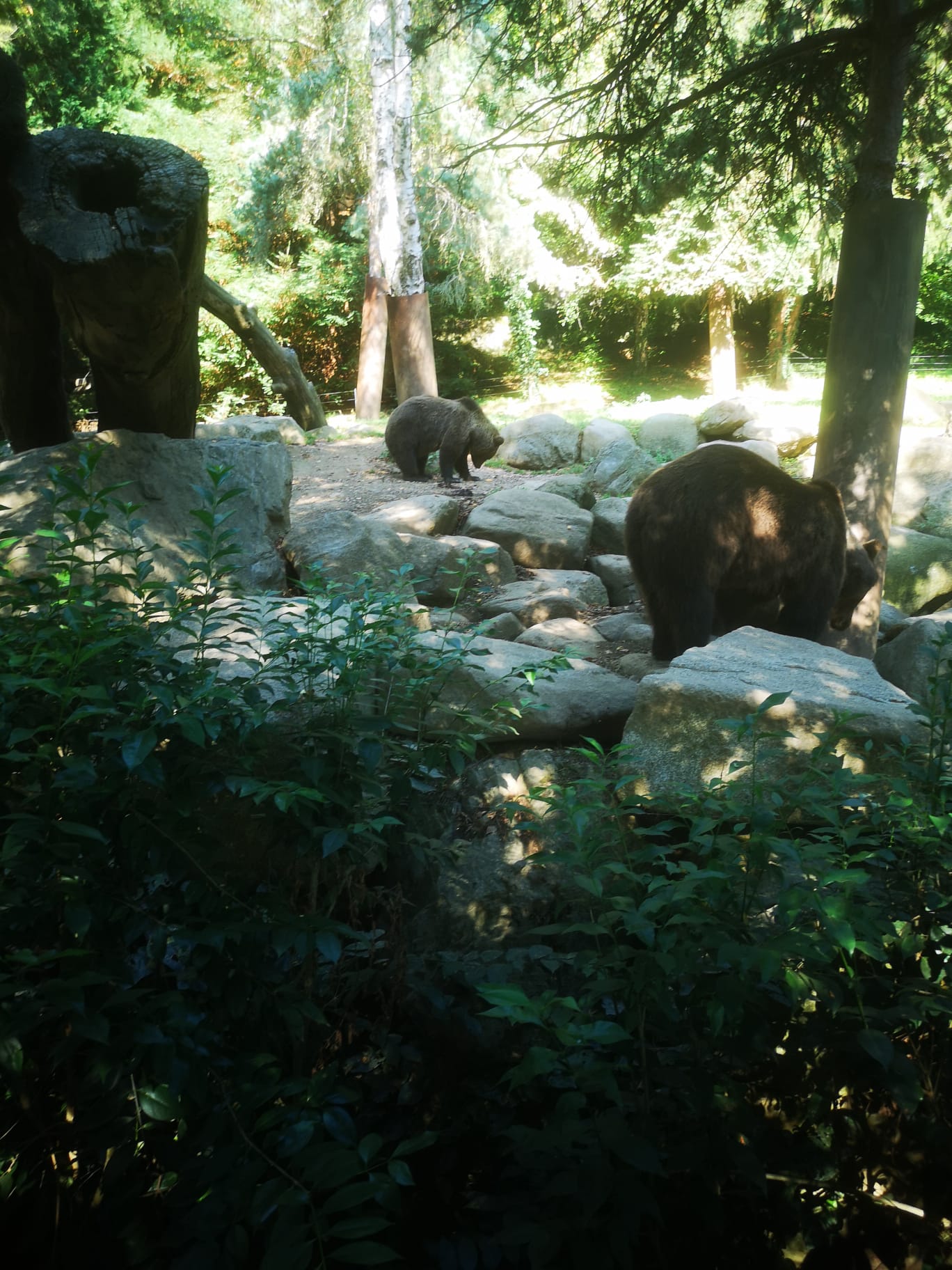 Photo n° 5 de l'avis de Bruno.a fait le 25/08/2023 à 12:01