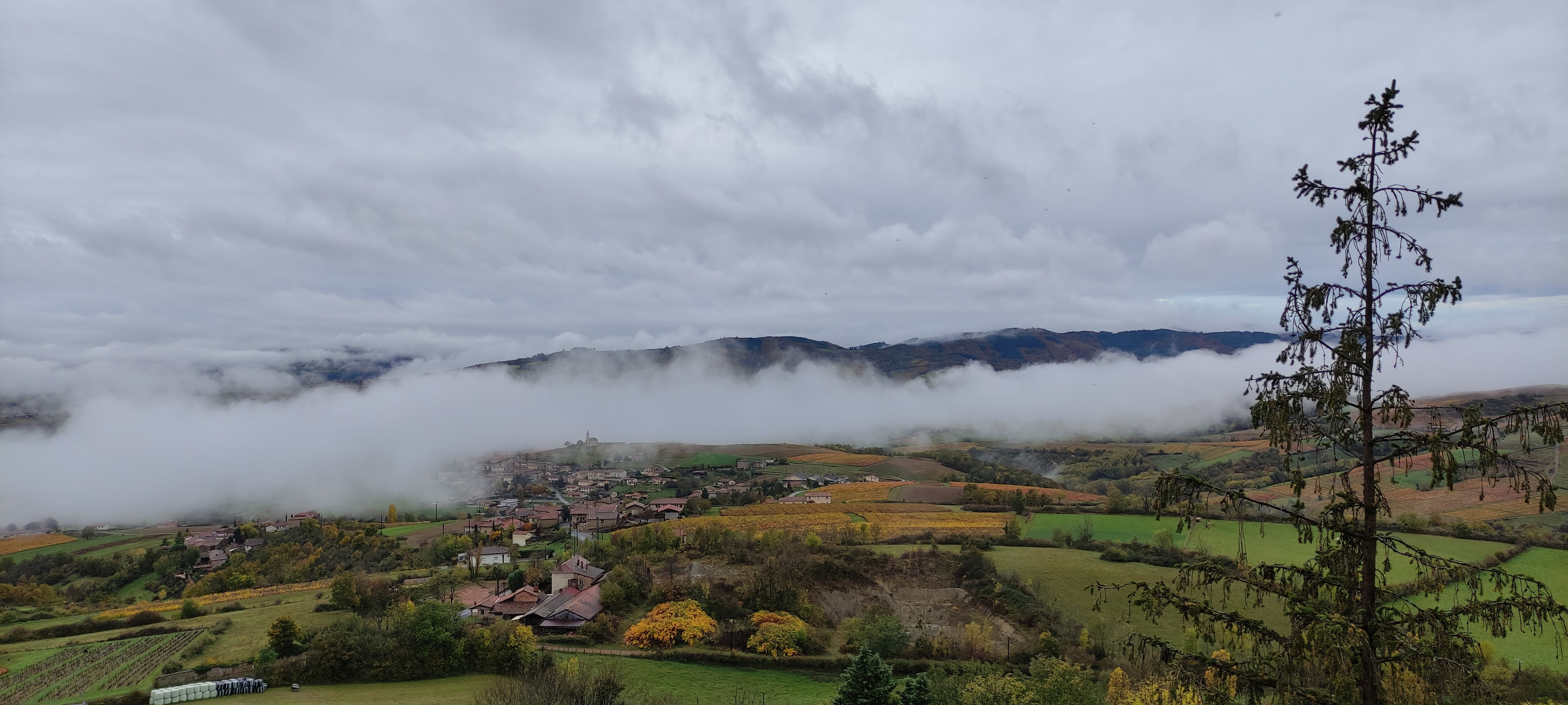 Photo n° 7 de l'avis de Anthony.a fait le 01/11/2021 à 16:22