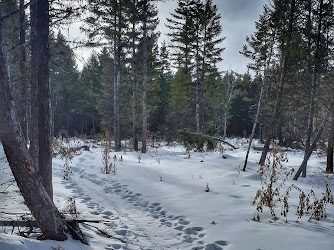 Snow-shoe parking