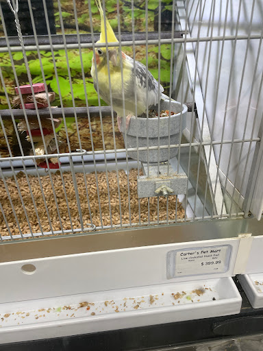 Pet Store «Carters Pet Mart», reviews and photos, 510 N Main St, Manteca, CA 95336, USA