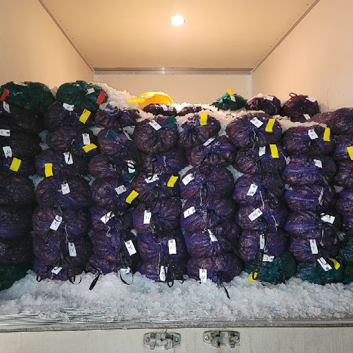 Seafood Market «Satsuma Seafood», reviews and photos, 29923 S Satsuma Rd, Livingston, LA 70754, USA