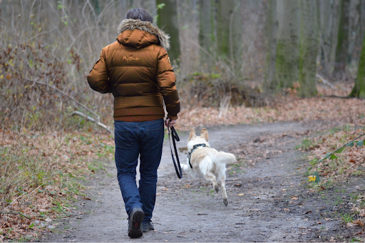 PupStride