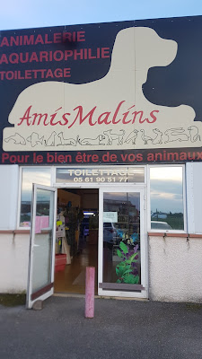 Amismalins à Carbonne