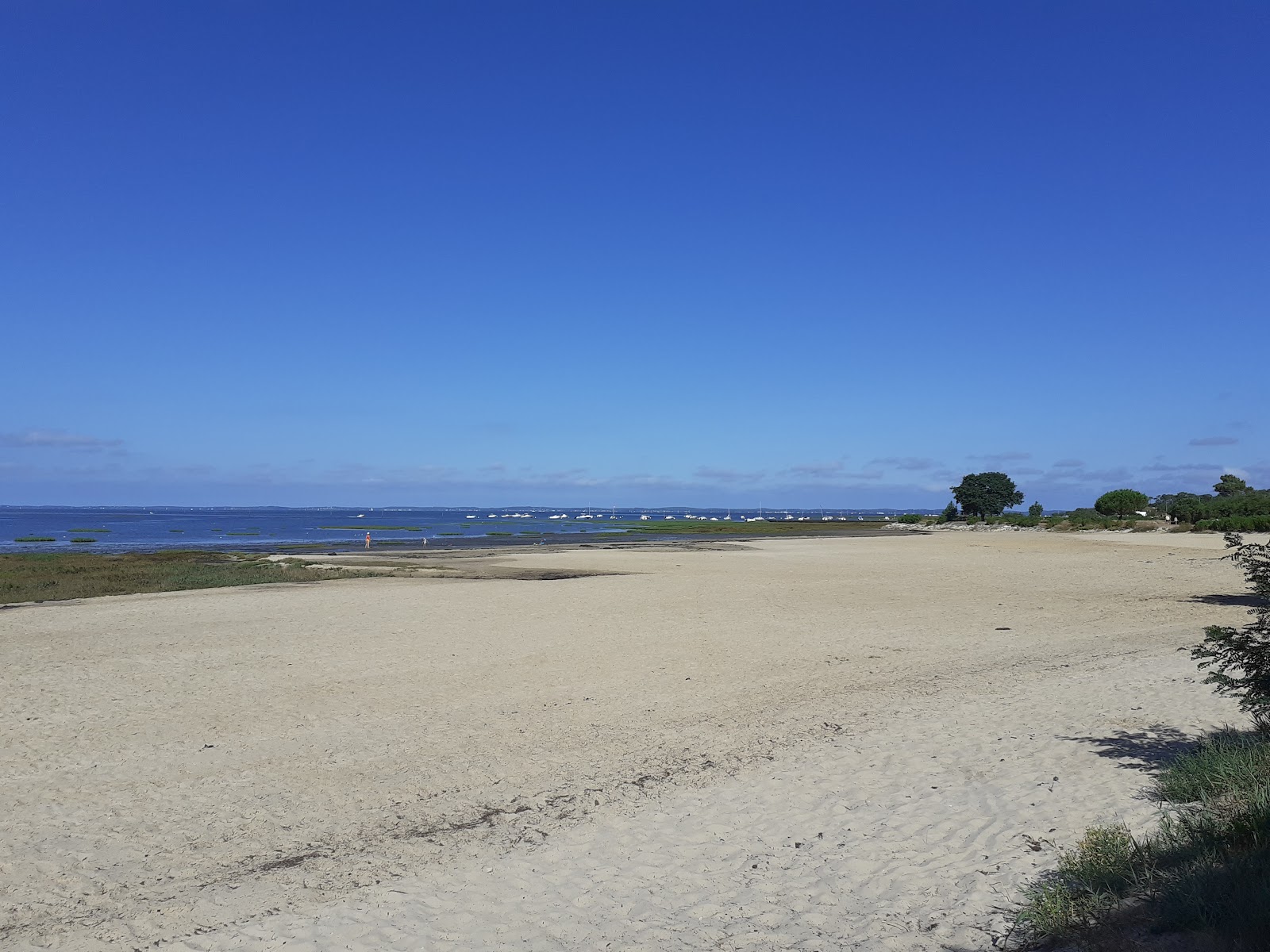 Photo de Suzette Beach avec un niveau de propreté de très propre