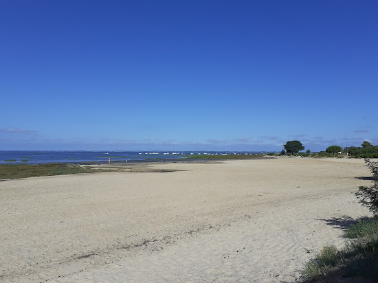 Suzette Beach