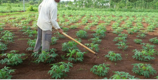 Top 3 cửa hàng bkav Huyện Tân Châu Tây Ninh 2022