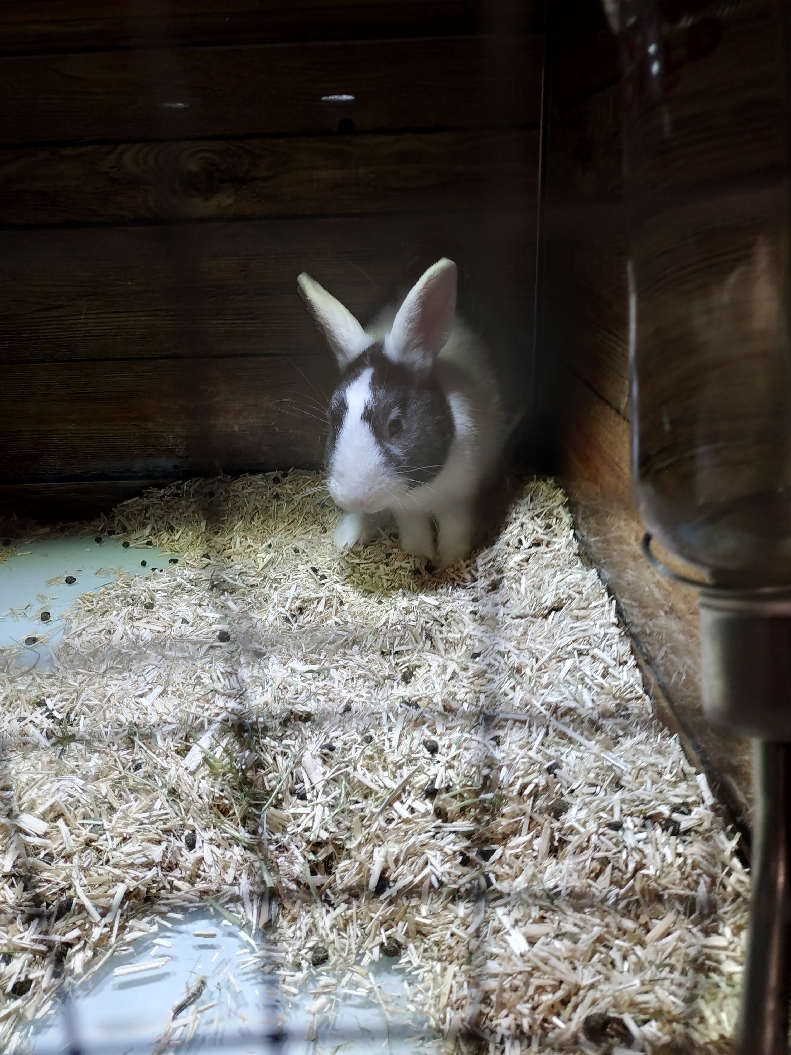 Photo n° 11 de l'avis de Jessy.e fait le 25/08/2018 à 16:56