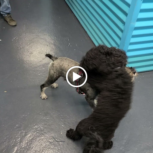 Park «Travers Park», reviews and photos, 76-9 34th Ave, Jackson Heights, NY 11372, USA