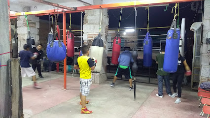 GIMNASIO DE BOX EL PIEDRON