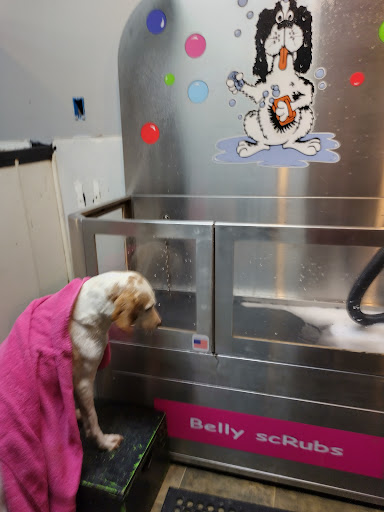 Pet Groomer «Belly scRubs Self Service Pet Wash», reviews and photos, 119 WV-34 #1, Hurricane, WV 25526, USA