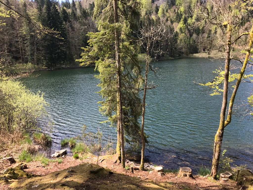 Photo n° 1 de l'avis de Pascale.o fait le 09/01/2019 à 12:58